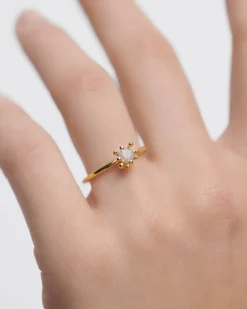 Anillos Básicos|Anillos Solitarios-PDPAOLA Anillo Fleur Gris