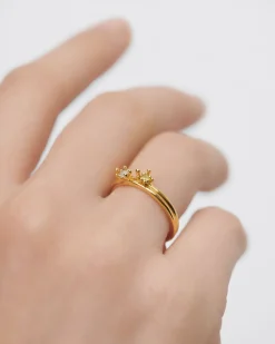 Anillos Básicos|Rebajas Anillos-PDPAOLA Set de anillos Les fleurs